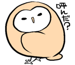 Menchan of tyto alba sticker #13427009