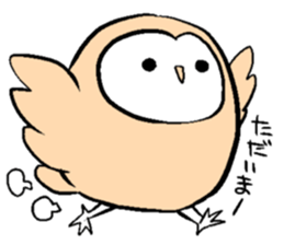 Menchan of tyto alba sticker #13427023