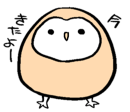 Menchan of tyto alba sticker #13427024