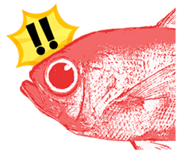 Akari Fukuda's Fishing Quotes Stickers! sticker #13427084