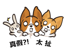 Corgi Dog Kaka - Office Murmurs sticker #13427431