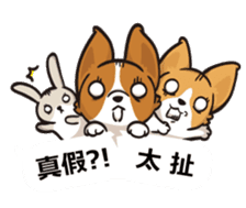 Corgi Dog Kaka - Office Murmurs sticker #13427431