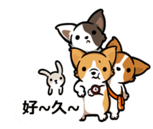 Corgi Dog Kaka - Office Murmurs sticker #13427434