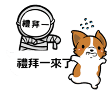 Corgi Dog Kaka - Office Murmurs sticker #13427435