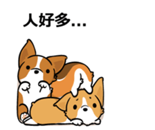 Corgi Dog Kaka - Office Murmurs sticker #13427439