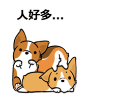 Corgi Dog Kaka - Office Murmurs sticker #13427439