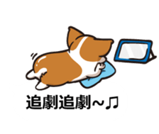 Corgi Dog Kaka - Office Murmurs sticker #13427443