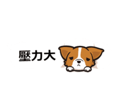 Corgi Dog Kaka - Office Murmurs sticker #13427444