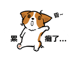 Corgi Dog Kaka - Office Murmurs sticker #13427445