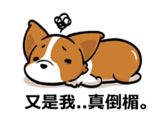 Corgi Dog Kaka - Office Murmurs sticker #13427447