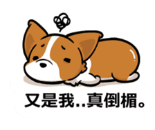 Corgi Dog Kaka - Office Murmurs sticker #13427447