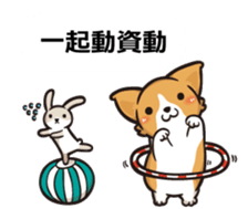 Corgi Dog Kaka - Office Murmurs sticker #13427448