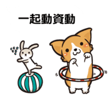 Corgi Dog Kaka - Office Murmurs sticker #13427448