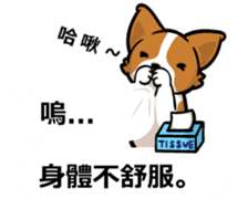 Corgi Dog Kaka - Office Murmurs sticker #13427451