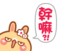 Rabbit -niu niu makes her debut! sticker #13427788