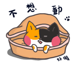 My name is Pearl sticker #13427796