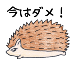 Murmur Animal sticker #13428956