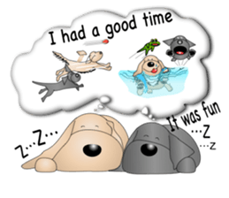 Every day with Golden Retriever 2nd. Eng sticker #13432017
