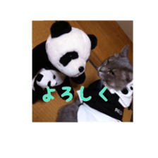 my cat Shizumi part 2 sticker #13432873