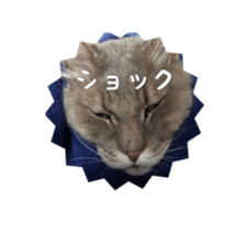 my cat Shizumi part 2 sticker #13432874