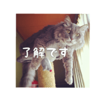 my cat Shizumi part 2 sticker #13432875