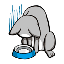 ShicaCat sticker #13433627