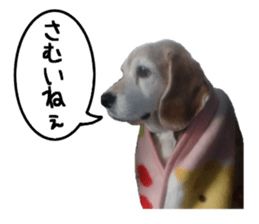 BEAGLE No.1!! sticker #13434032