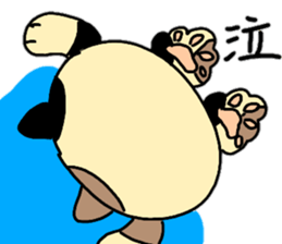 Fu is a cat Hanshiro. sticker #13434612