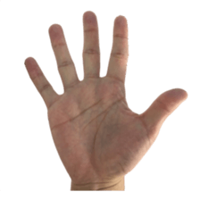 My hand sticker #13434929