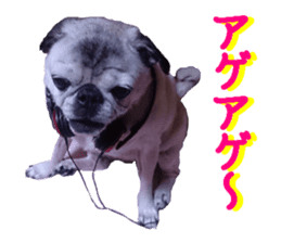 Lovely pug TOTO sticker #13434944