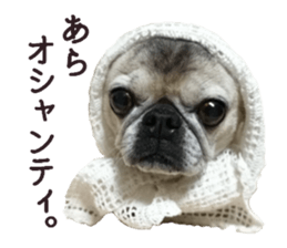 Lovely pug TOTO sticker #13434945