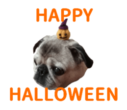 Lovely pug TOTO sticker #13434948