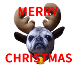 Lovely pug TOTO sticker #13434949