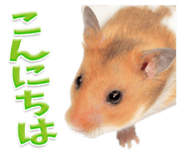 Cute hamster japanese sticker #13435175