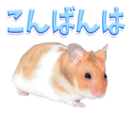 Cute hamster japanese sticker #13435176