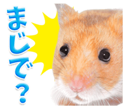 Cute hamster japanese sticker #13435177