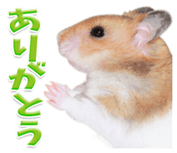 Cute hamster japanese sticker #13435178