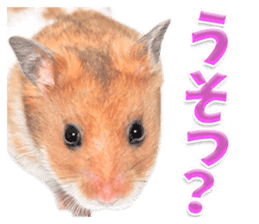 Cute hamster japanese sticker #13435180