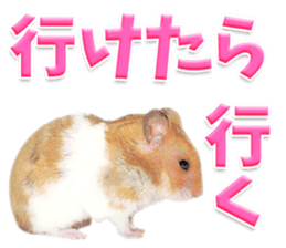 Cute hamster japanese sticker #13435182