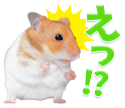 Cute hamster japanese sticker #13435185