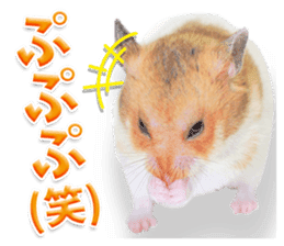 Cute hamster japanese sticker #13435186