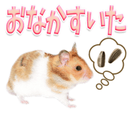 Cute hamster japanese sticker #13435187