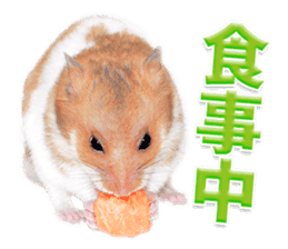 Cute hamster japanese sticker #13435188