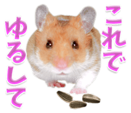 Cute hamster japanese sticker #13435190