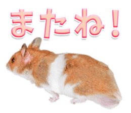 Cute hamster japanese sticker #13435192