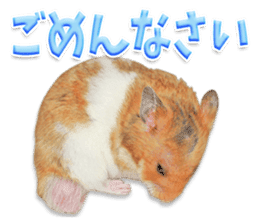 Cute hamster japanese sticker #13435193