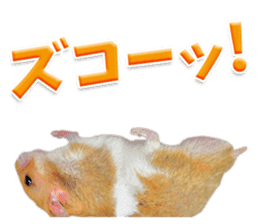 Cute hamster japanese sticker #13435194