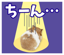 Cute hamster japanese sticker #13435195