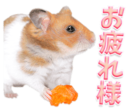 Cute hamster japanese sticker #13435197