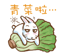 hotot bunny sticker #13435563